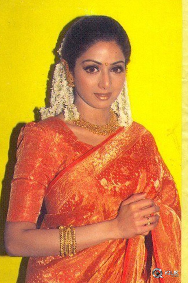 Sri-Devi-Last-Pics